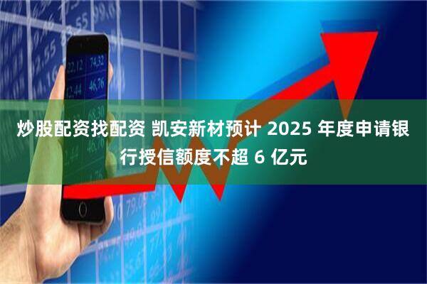 炒股配资找配资 凯安新材预计 2025 年度申请银行授信额度不超 6 亿元