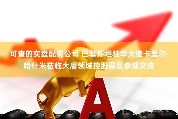 可查的实盘配资公司 巴基斯坦驻华大使卡里尔·哈什米莅临大唐领域控股展区参观交流