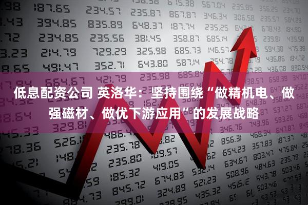 低息配资公司 英洛华：坚持围绕“做精机电、做强磁材、做优下游应用”的发展战略