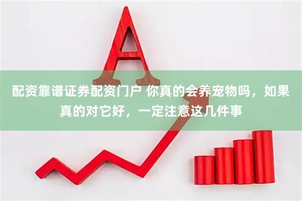配资靠谱证券配资门户 你真的会养宠物吗，如果真的对它好，一定注意这几件事