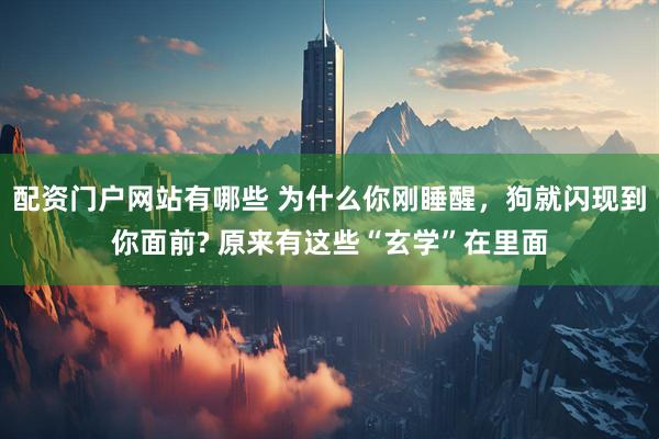 配资门户网站有哪些 为什么你刚睡醒，狗就闪现到你面前? 原来有这些“玄学”在里面